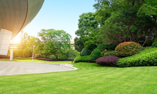 Commercial Shrub Trimming in Biloxi