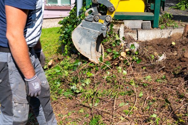 Hedge Removal Service in Biloxi