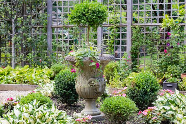 Cost of Topiary Pruning in Biloxi