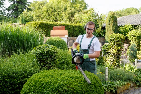 Shrubs Trimming in Biloxi
